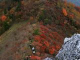 天狗岩付近の紅葉